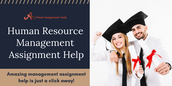 Hire Experts and Get Rid of Assignment Writing Load