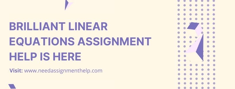 Brilliant Linear Equations Assignment Help is Here