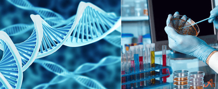 Biotechnology Assignment Topics