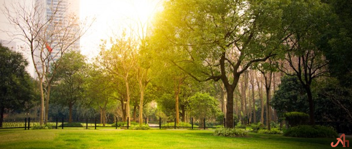 Let’s Do Something Good With Our Planet - Earth Day