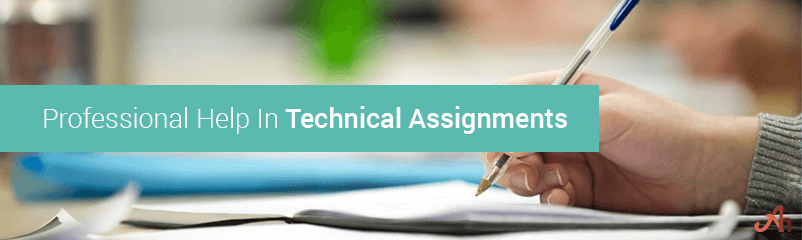 Professional Help in Technical Assignment