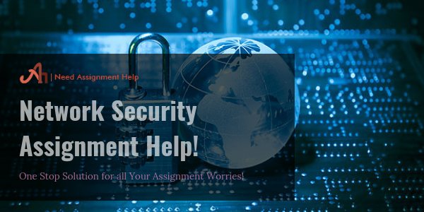 Network Security Assignment Help
