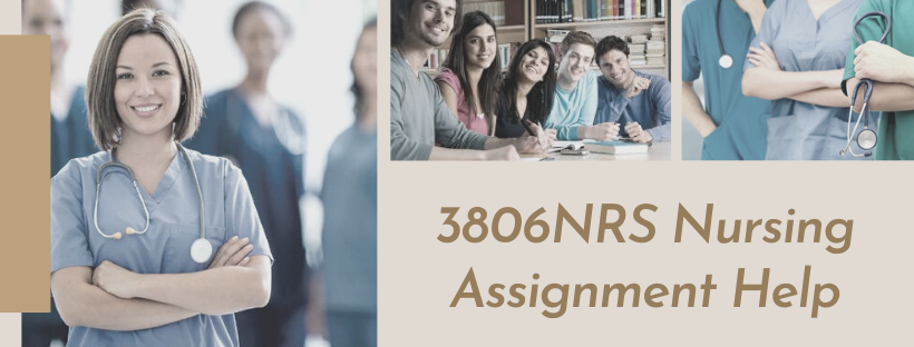 3806NRS Nursing Assignment Help
