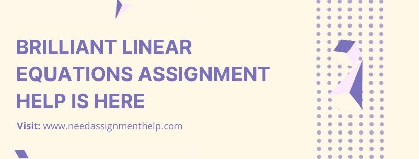 Linear Equations Assignment Help