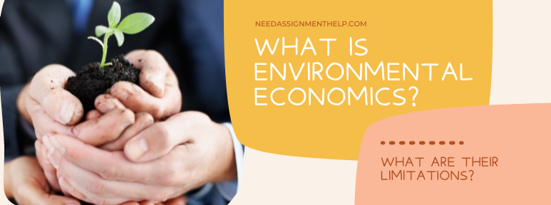 What is Environmental Economics? What are the Limitations of Environmental Economics?