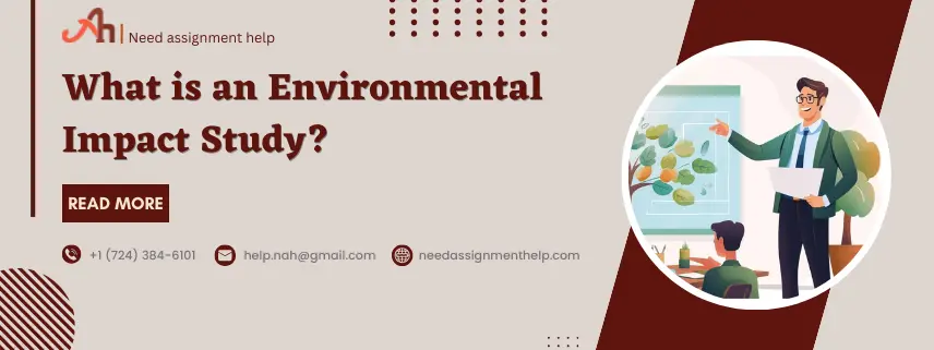 What is an Environmental Impact Study?